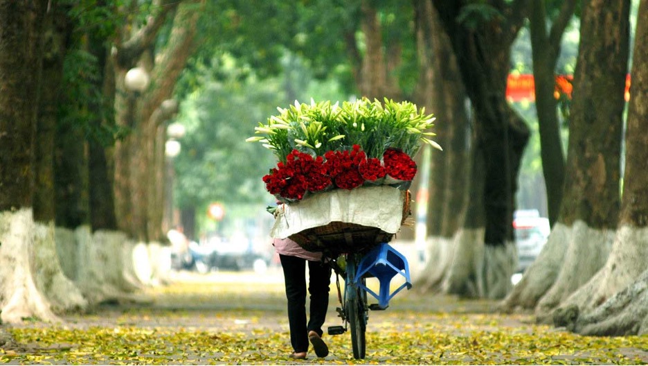 Những bài thơ buồn nói về mùa thu